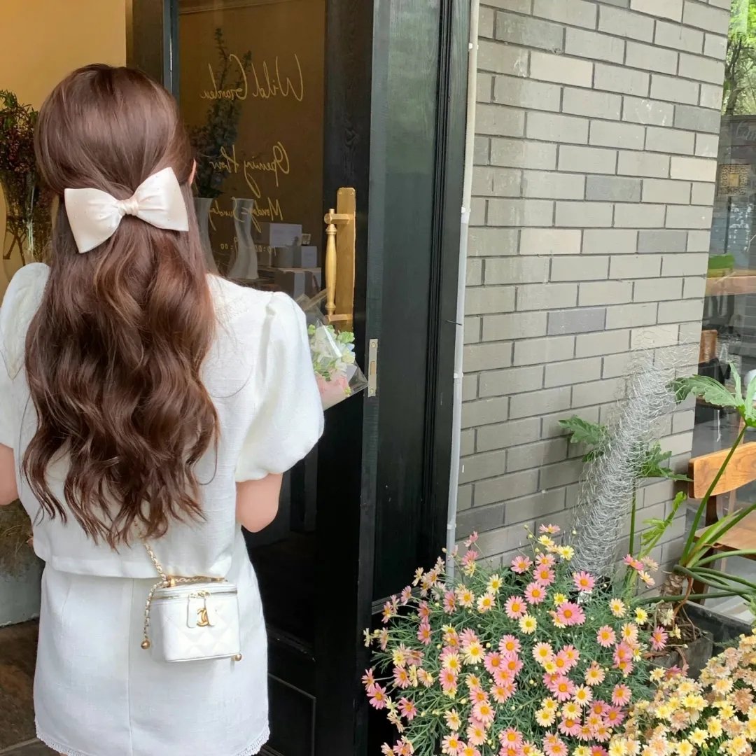 方案